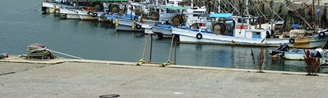 漁港・水産部門