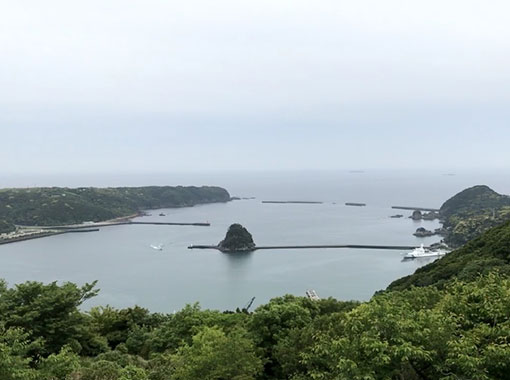 下田港防波堤堤頭部細部設計(静岡県）