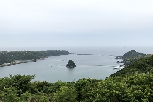 下田港防波堤堤頭部細部設計(静岡県）